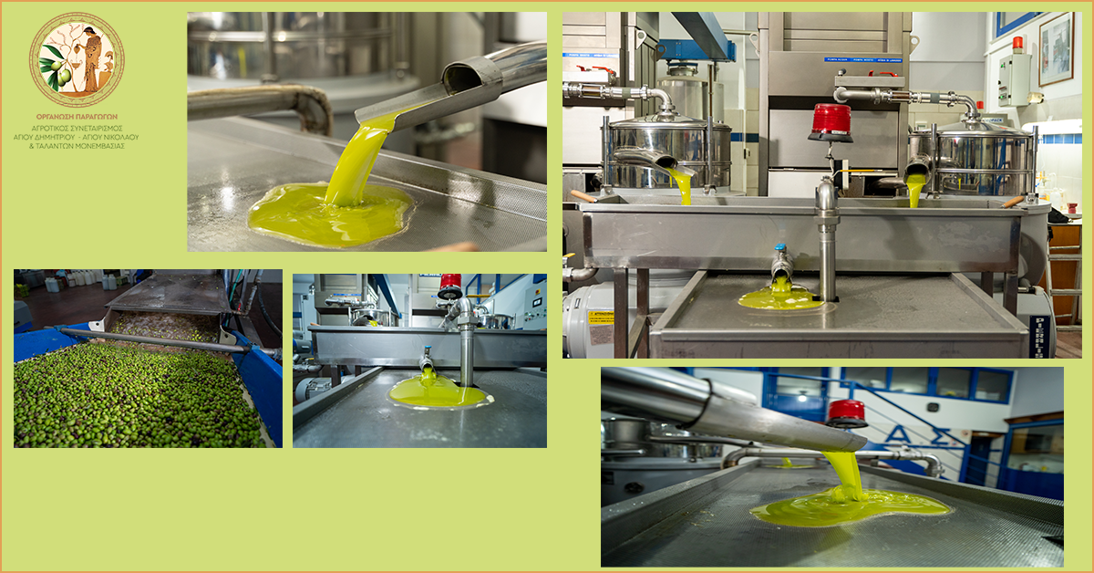 Νέα ώθηση στα Ταλάντα: Εκσυγχρονισμός του ελαιοτριβείου και ενίσχυση της παραγωγικής βάσης