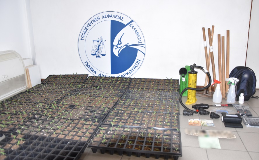 Συνελήφθη ένα άτομο με πάνω από -800- φυτά κάνναβης