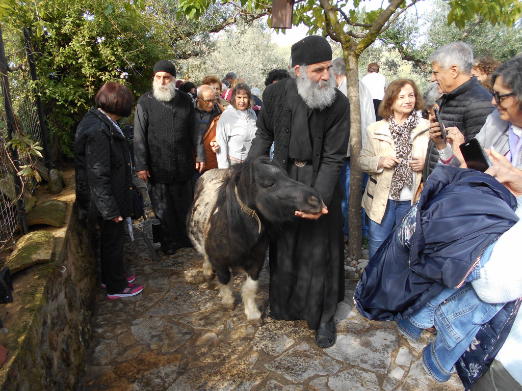 4.Ο_έμπρακτος_σεβασμός_των_Πατέρων_προς_τα_ζώα._1.jpg