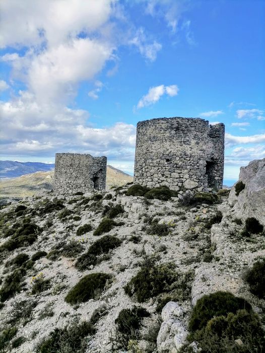 Η ΚΑΠ στο εδώλιο: Δασμοί, πληθωρισμός, και η αναζήτηση ενός δίκαιου αγροτικού μέλλοντος