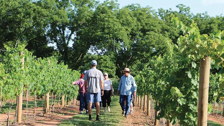 Ποιές είναι οι αλλαγές στο νέο πρόγραμμα των Νέων Αγροτών