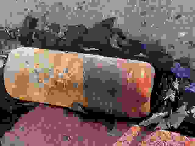 EPAL_4.jpeg