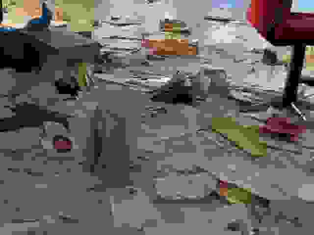 EPAL_5.jpeg