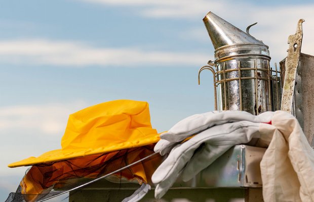 Παγκόσμια Ημέρα Μέλισσας: Αυξημένες εισαγωγές στην ΕΕ το 2023