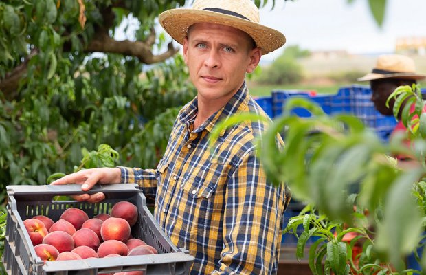 Αναζητούν επιδότηση για σπίτια εργατών, προβληματική εγγραφή στο Μητρώο από Επιμελητήρια