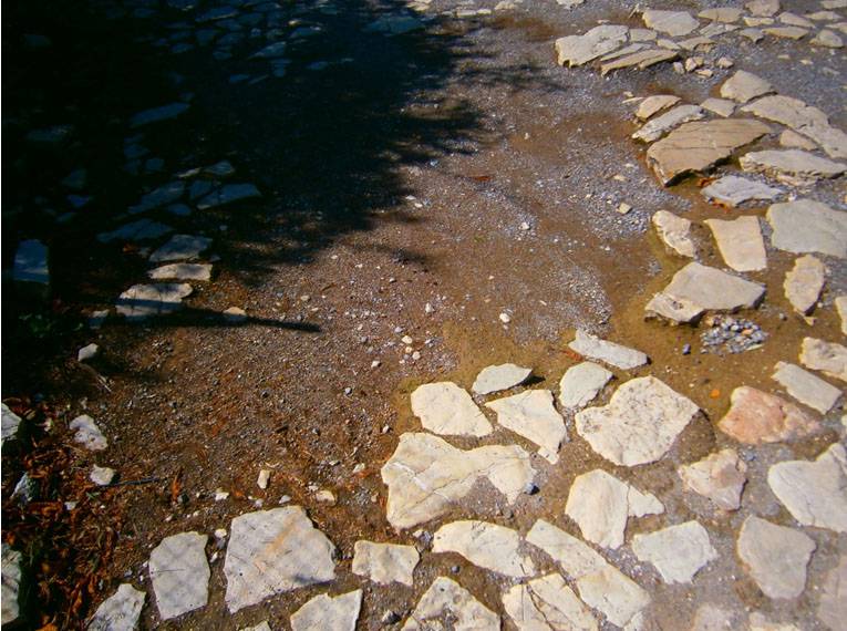 Untitled-8.jpg