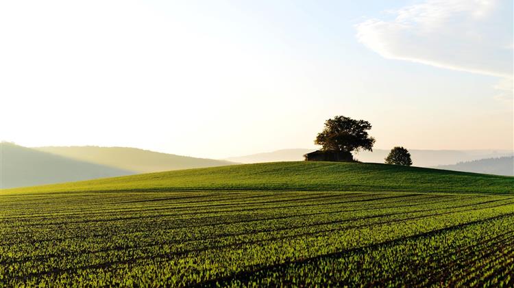 Προς τα κάτω οι προβλέψεις για τις φετινές ευρωπαϊκές καλλιέργειες