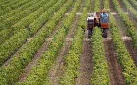 Νέα Αριστερά: Εργάτες στα χωράφια τους οι αγρότες- το σχέδιο της κυβέρνησης για Θεσσαλία