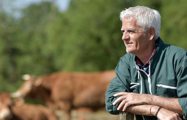 Νέα διοίκηση ΕΛΓΑ χωρίς αγρότη, αίτημα για παράταση εξόφλησης ασφαλίστρων του 2023