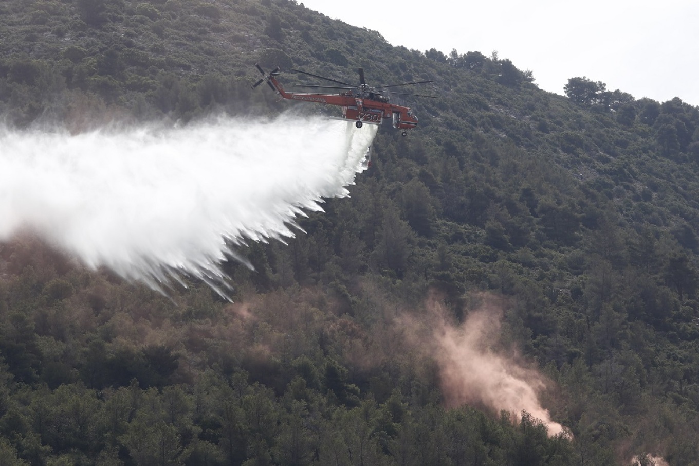 Συνολικά 51 αγροτοδασικές πυρκαγιές το τελευταίο 24ωρο στη χώρα