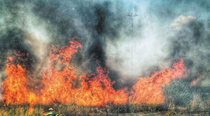    Εκδόθηκε η ΚΥΑ για την προκαταβολή 50% της κρατικής αρωγής για τις ζημιές σε φυτικό κεφάλαιο κατά τις πυρκαγιές του 2023