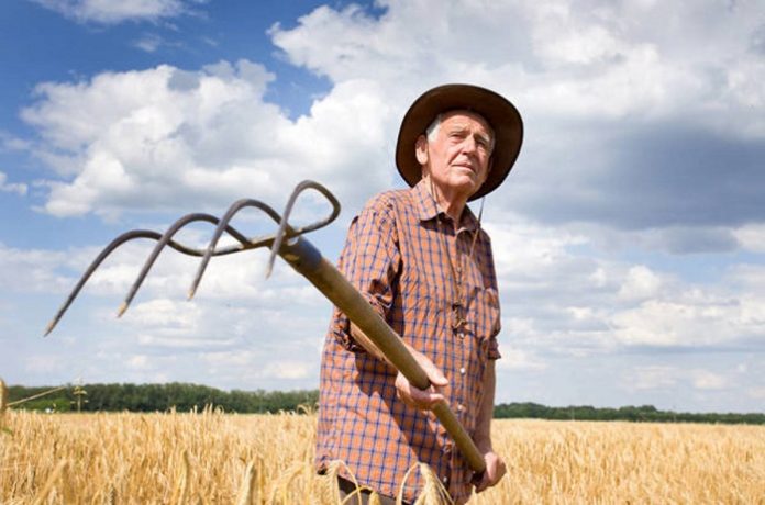 Συνταξιοδότηση αγροτών: Εκδόθηκε η ΚΥΑ για ρύθμιση οφειλών στον e-ΕΦΚΑ για χρέη έως 10.000 ευρώ  