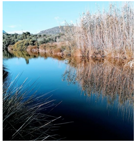 Γράφει ο Νικόλαος Αργείτης : Η ΒΕΛΑΝΙΔΙΑ ΤΟΥ ΚΟΛΛΥΡΙ