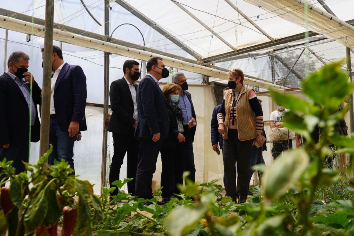 Περιοδεία Γεωργαντά στην Κρήτη - Επί πλέον 100 εκατ. ευρώ για το πρόγραμμα Νέων Αγροτών