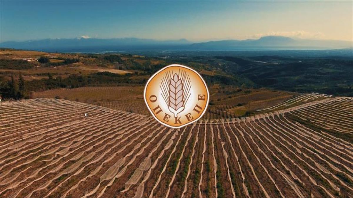 Διαδικασία αναθεώρησης για τη χορήγηση δικαιωμάτων βασικής ενίσχυσης από το εθνικό απόθεμα