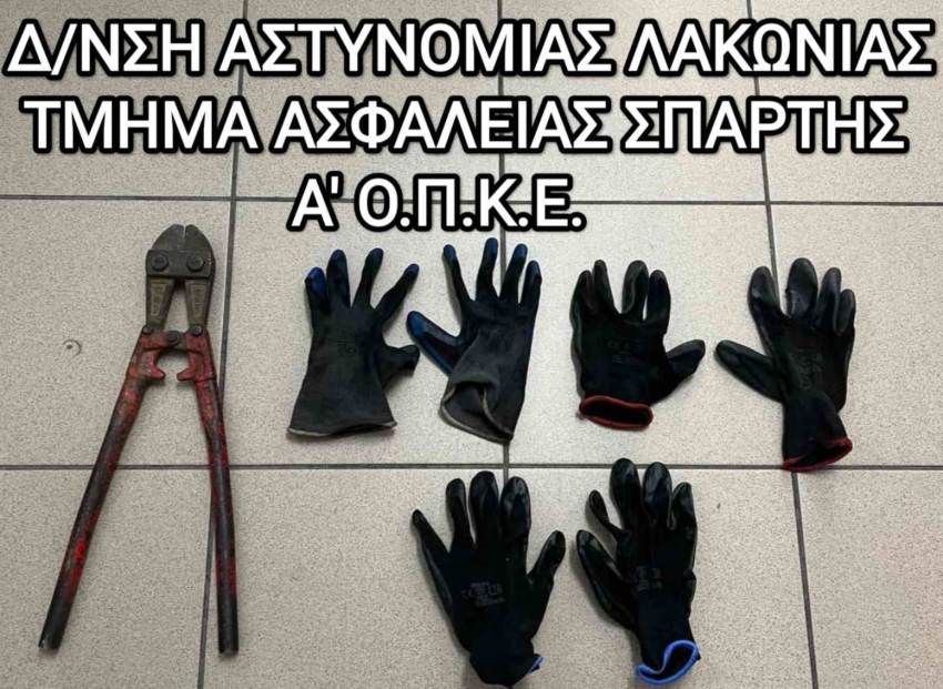 Συνελήφθησαν δύο (2) άτομα για διακεκριμένες περιπτώσεις κλοπών Στην Σπάρτη.