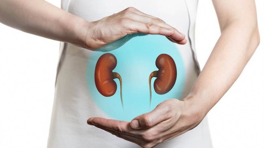 5 μηνύματα από τα νεφρά μας ότι κάτι δεν πάει καλά