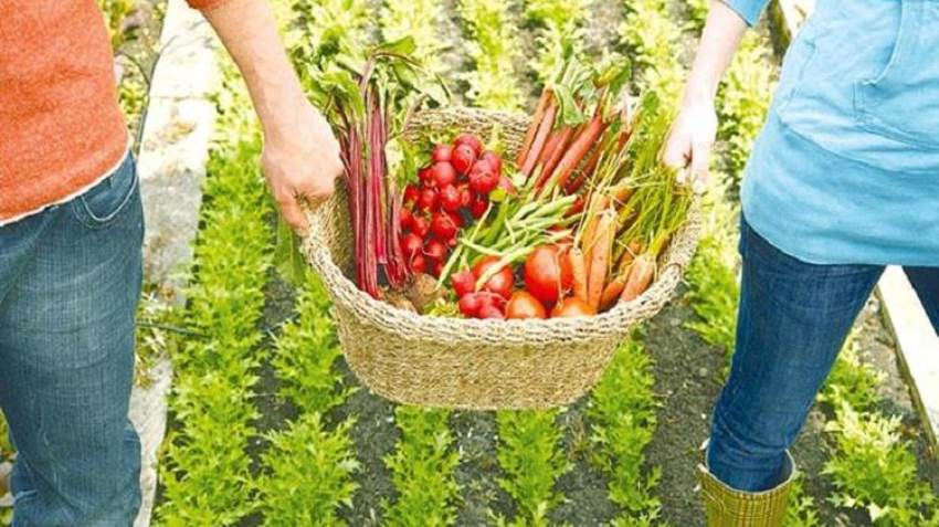 Ξεκινούν σήμερα οι αιτήσεις υπαγωγής στο καθεστώς της Αγροδιατροφής του νέου Αναπτυξιακού Νόμου