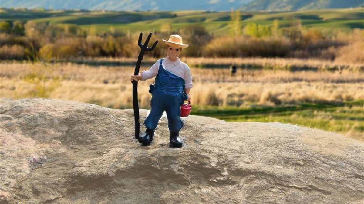 Αγρότες: Ποιοι θα πληρώσουν τέλος επιτηδεύματος