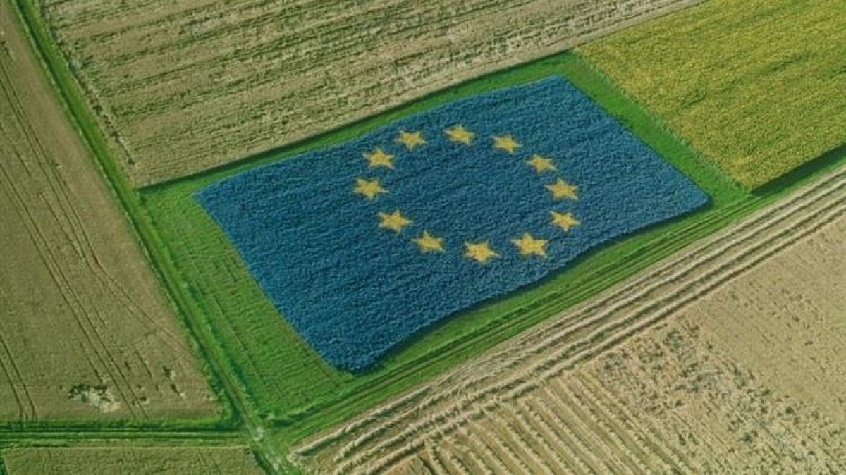 Κρατικές ενισχύσεις: Αλλαγές σε γεωργία, δασοκομία και αλιεία