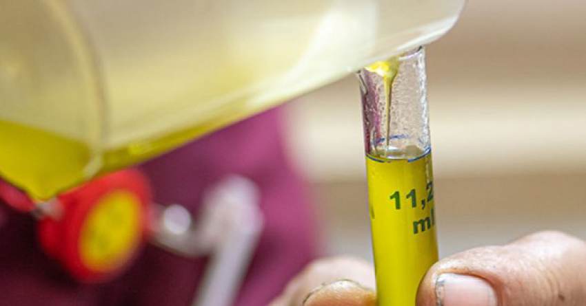 5,25 ευρώ πούλησε ο συνεταιρισμός Μολάων Πακίων, αυξημένοι έλεγχοι για νοθεία σε Ισπανία