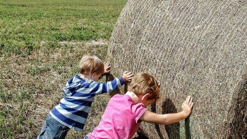 e-ΕΦΚΑ: Λήγει η καθολική απόδοση ασφαλιστικής ικανότητας στους αγρότες