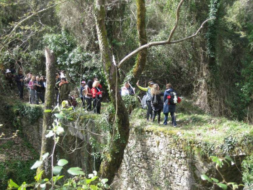 ΠΑΓΚΟΣΜΙΑ ΗΜΕΡΑ ΠΕΡΙΒΑΛΛΟΝΤΟΣ – ΠΕΖΟΠΟΡΙΑ ΣΤΟ ΚΑΤΑΦΥΓΙΟ ΤΟΥ  ΤΑΫΓΕΤΟΥ
