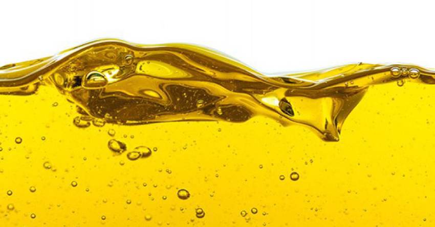 Μπαράζ πωλήσεων ελαιολάδου στη Λακωνία σταθερά πάνω από τα 5 ευρώ