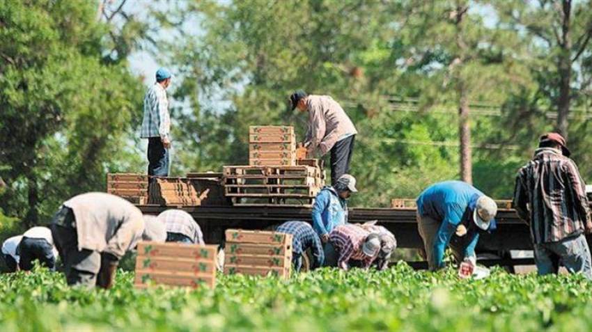 Οι επιπτώσεις που θα φέρει η καθυστέρηση έκδοσης ΚΥΑ για τους εργάτες γης