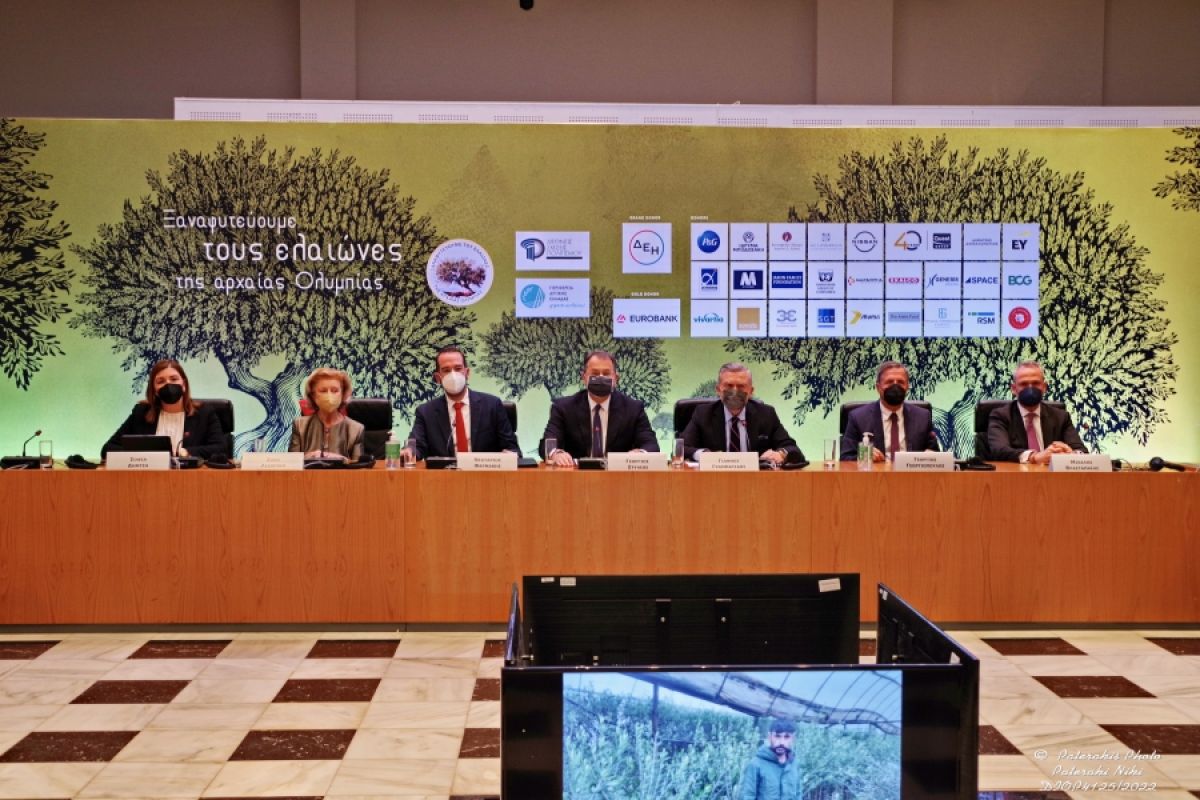 Ξαναφυτεύονται 150.000 ελαιόδεντρα στα καμμένα της Αρχαίας Ολυμπίας