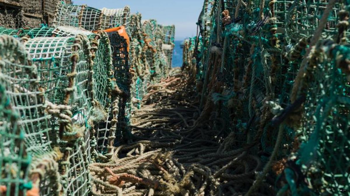 Η ΑΝΕΘ ΑΕ ενισχύει τη μικρομεσαία επιχειρηματικότητα στον τομέα της αλιείας