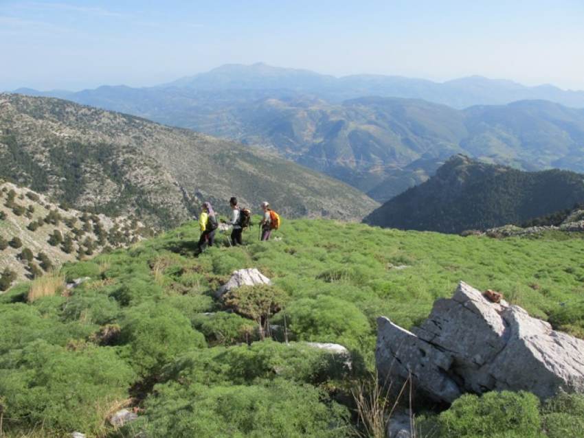 Εξόρμηση στον Ερύμανθο από τον Ορειβατικό Σύλλογο Μολάων και Ν/Α Λακωνίας