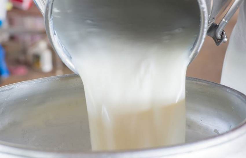 Τιμή βάσης στο πρόβειο 1,70 ευρώ, γιδινό 1,15 και αγελαδινό 60 λεπτά, ζητούν κτηνοτρόφοι