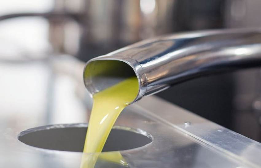 Αναζητείται ελαιόλαδο, μειωμένη η νέα παραγωγή κατά 40% στην ΕΕ, ρεκόρ τιμών