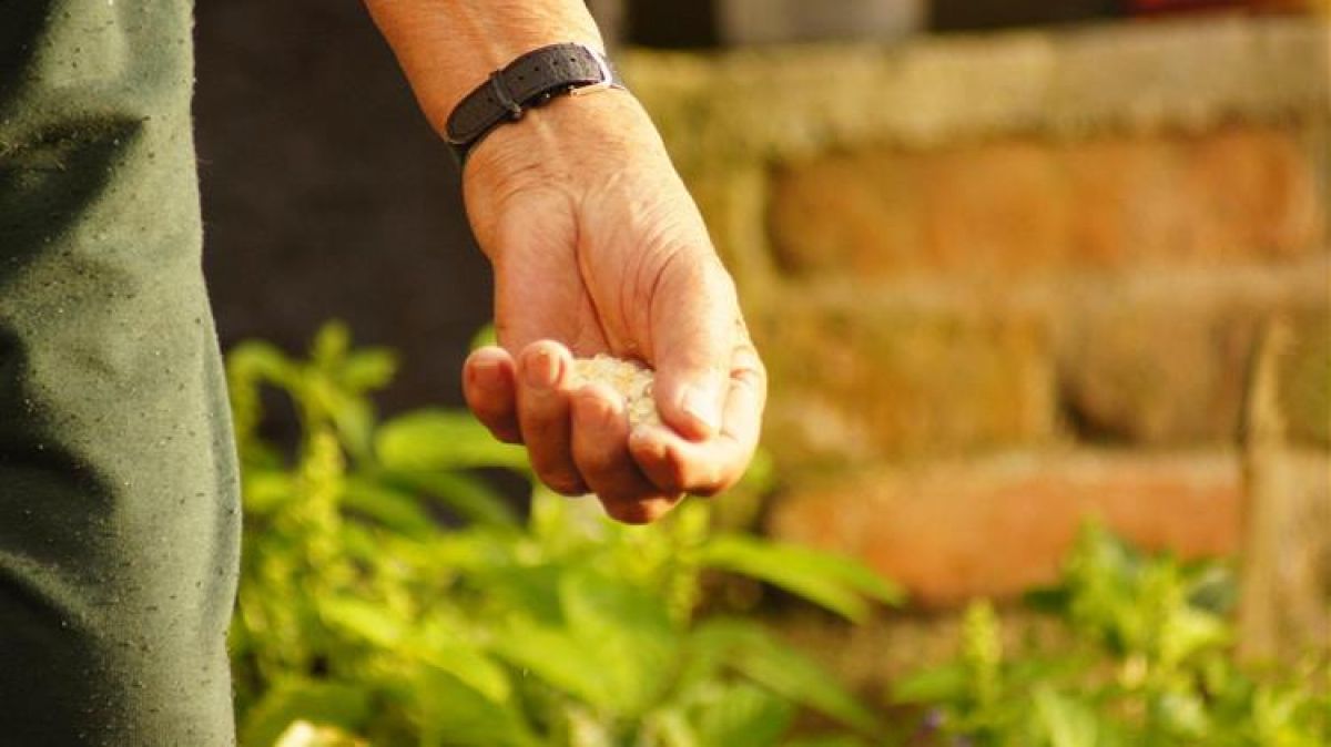 Αγρότες: Πως θα υπολογίσουν την ασφαλιστική εισφορά εξαγοράς οφειλόμενου χρόνου