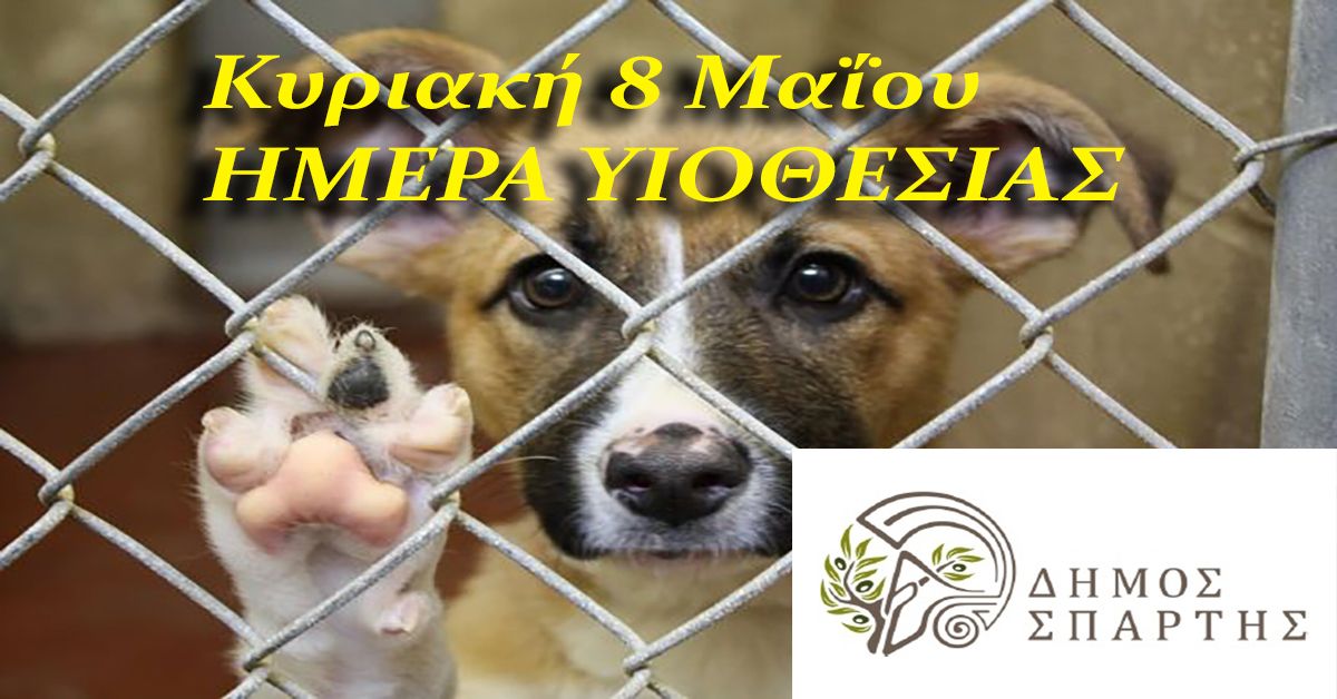 ΔΗΜΟΣ ΣΠΑΡΤΗΣ: Κυριακή 8 Μαΐου Ημέρα Υιοθεσίας Αδέσποτων