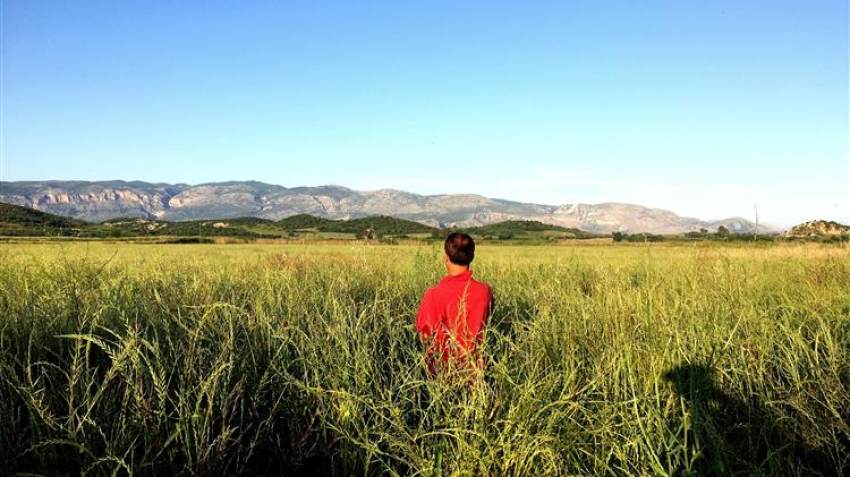 Αίρεται το τεκμήριο κυριότητας του δημοσίου για όλες τις αγροτοδασικές εκτάσεις