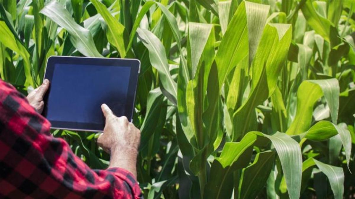 ΥΠΑΑΤ: Στα σκαριά αγροτικά ΙΕΚ και ίδρυση Ψηφιακής Ακαδημίας Αγροτικής Ανάπτυξης