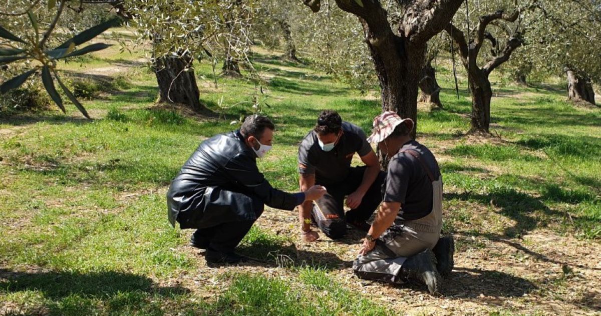 Στ. Αραχωβίτης: Περιοδεία στις αγροτικές καλλιέργειες στη Σκούρα και τον Κεφαλά 