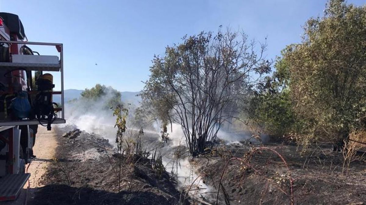 Αποζημίωση φυτικών μέσων παραγωγής που επλήγησαν από τις πυρκαγιές του καλοκαιριού
