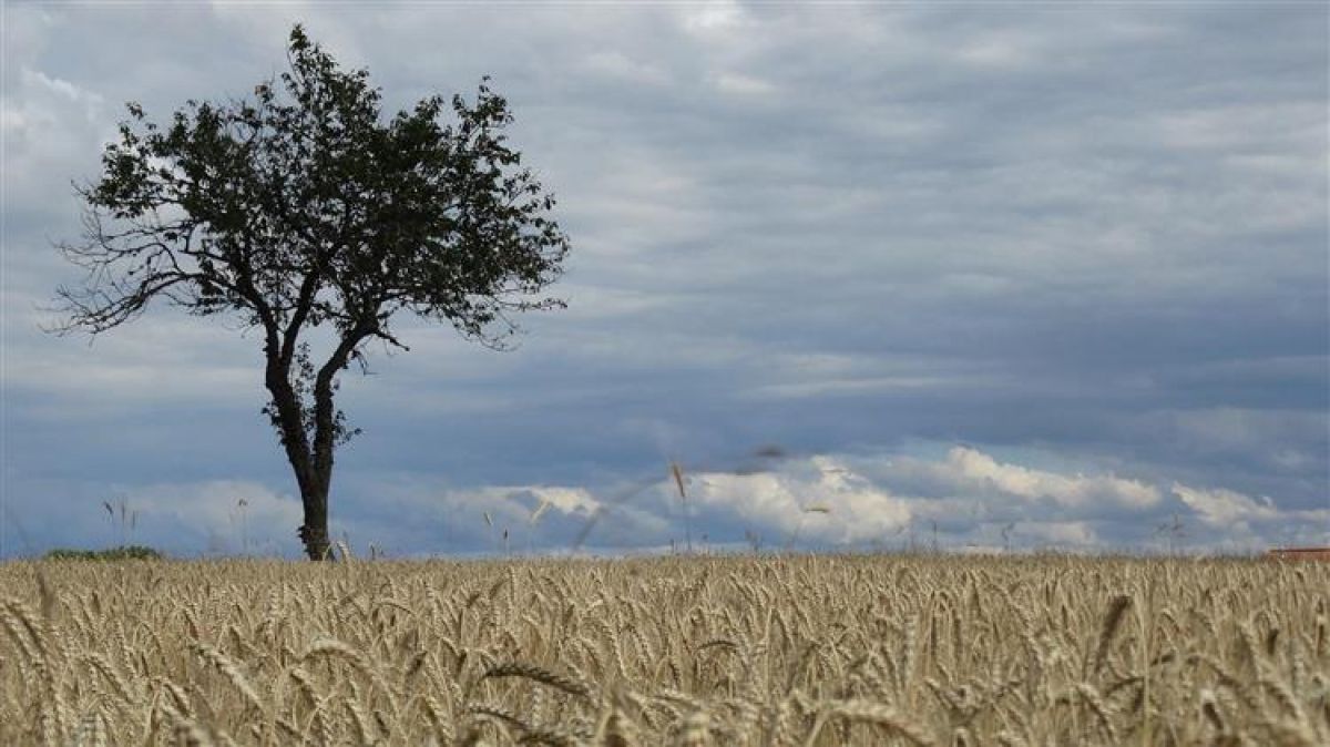 Γιατί οι περιβαλλοντικές οργανώσεις ζητούν να δημευτούν οι περιουσίες των μη προνομιούχων αγροτών και κτηνοτρόφων
