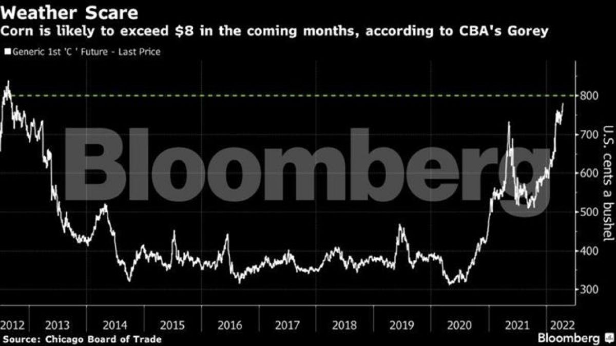 Πόλεμος και… υδράργυρος εκτοξεύουν την τιμή του καλαμποκιού προς τα $8