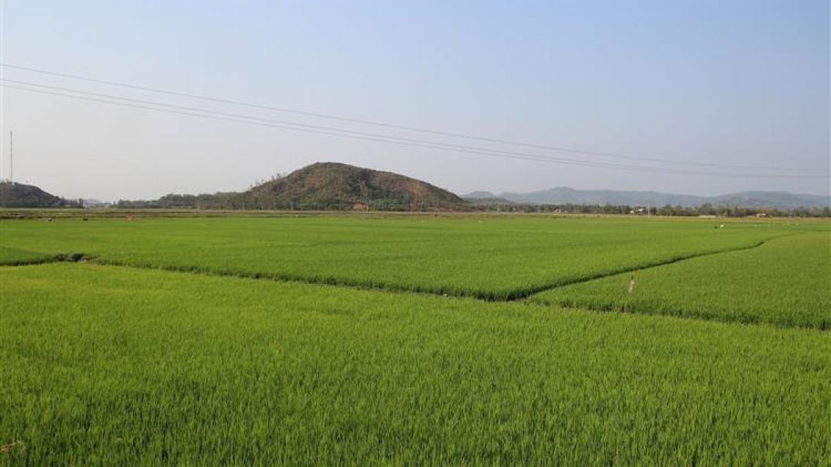 ΕΕ και γεωργία: επιδοτήσεις, θέσεις εργασίας, παραγωγή ανά χώρα