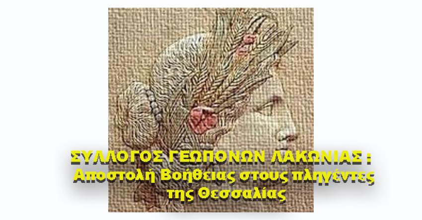 ΣΥΛΛΟΓΟΣ ΓΕΩΠΟΝΩΝ ΛΑΚΩΝΙΑΣ : Αποστολή Βοήθειας στους πληγέντες της Θεσσαλίας