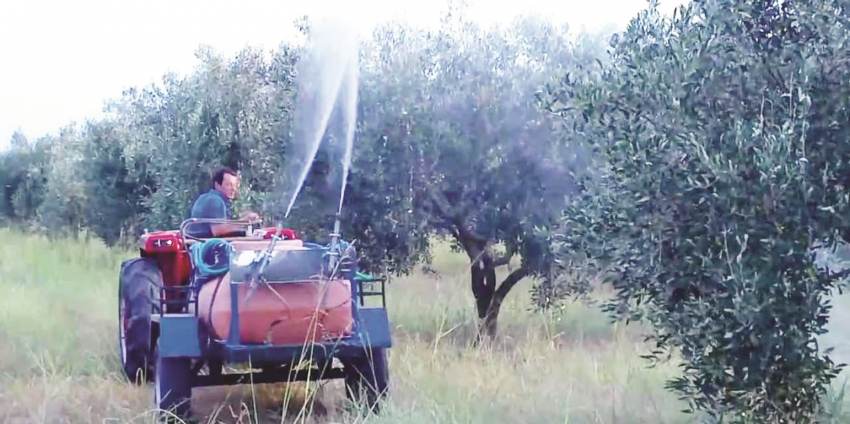 Έναρξη προγράμματος Δακοκτονίας Π.Ε. Λακωνίας