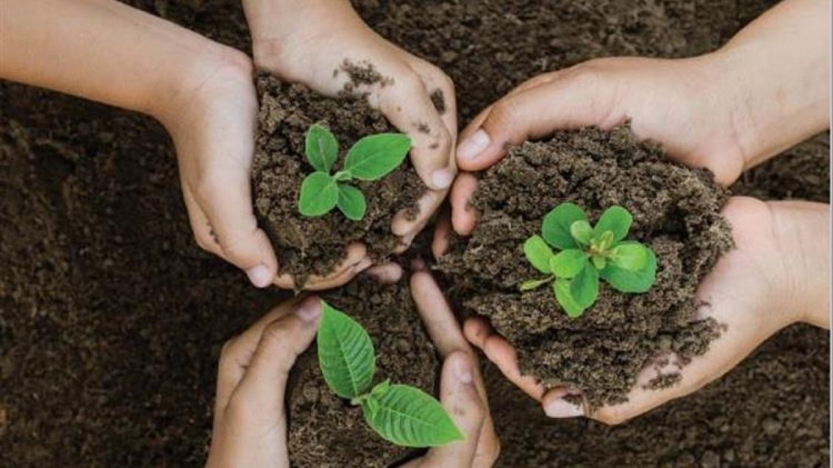 Στρατηγικές για την αγροτική εκπαίδευση και κατάρτιση για την ύπαιθρο του σήμερα