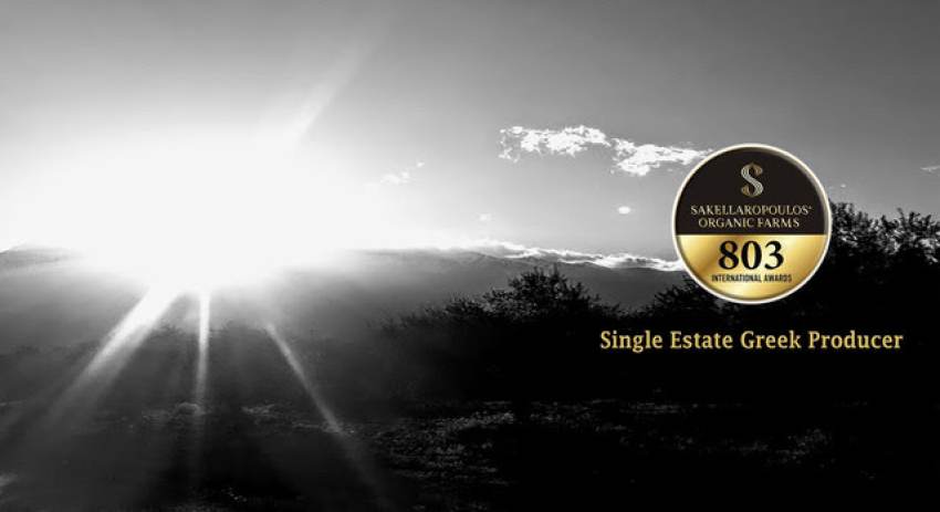 Σπαρτιάτης ο καλύτερος ελαιοπαραγωγός της Ευρώπης