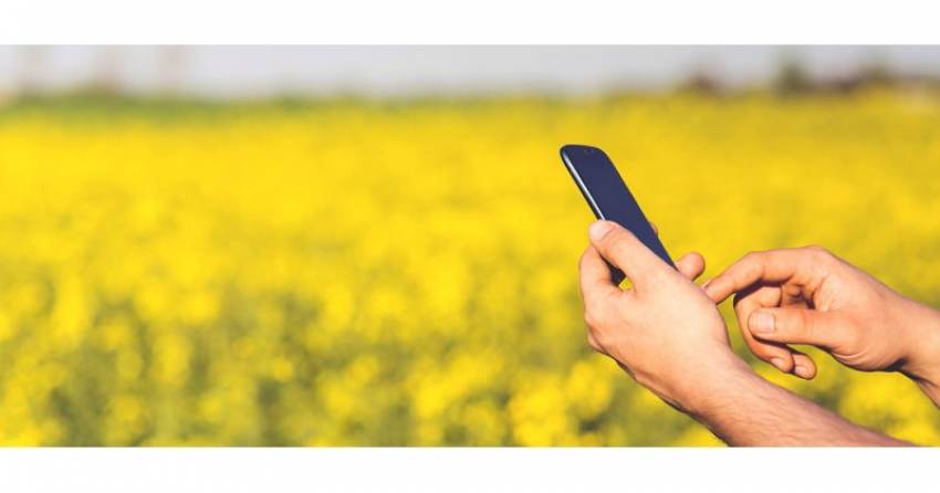 Διασύνδεση Μητρώου Αγροτών και Αγροτικών Εκμεταλλεύσεων (ΜΑΑΕ) και Ολοκληρωμένου Πληροφοριακού Συστήματος της ΑΑΔΕ