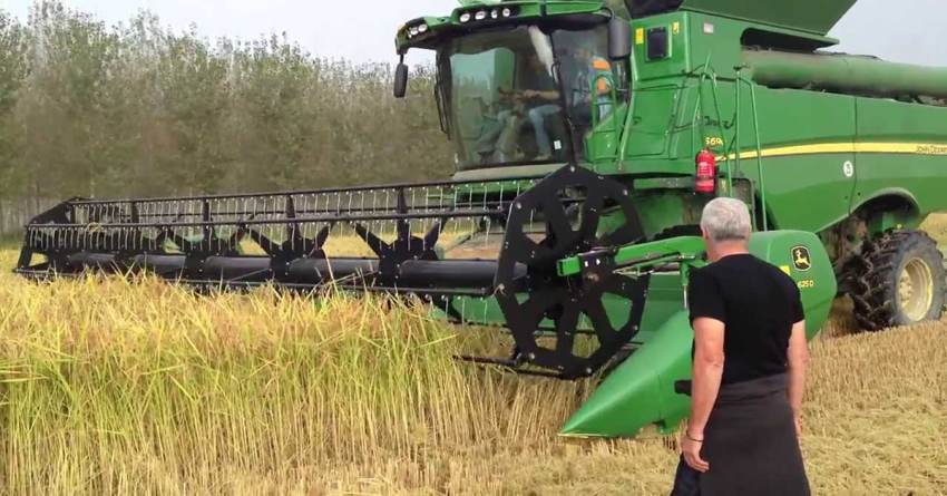 Απαλλαγή από τον φόρο εισοδήματος επί των κερδών από αγροτική επιχειρηματική δραστηριότητα