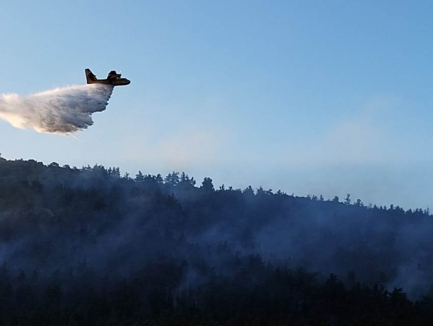 Πυρκαγιές σε Αρκαδία και Λακωνία, συνδράμει την Πυροσβεστική ο μηχανισμός Πολιτικής Προστασίας της Περιφέρειας Πελοποννήσου